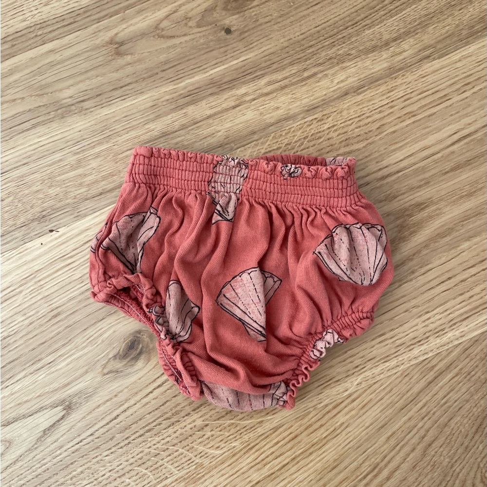 The animals observatory bloomers